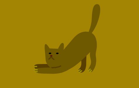 Котик
