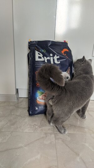 Любимый корм