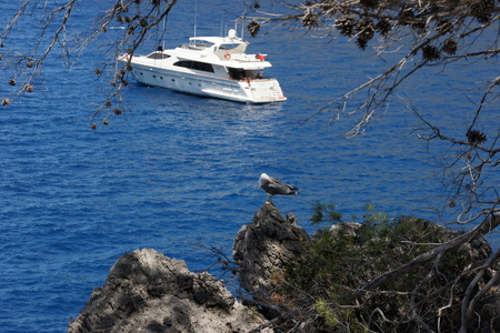 Морской вид