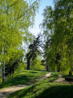На городецком валу