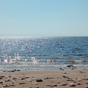 Финский залив