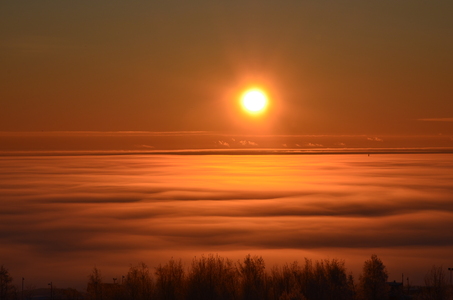 Зимнее солнце и туман