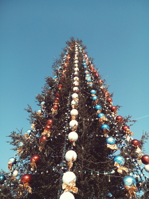 Городская елка