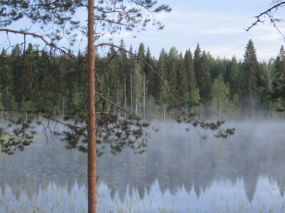 Пейзаж с озером