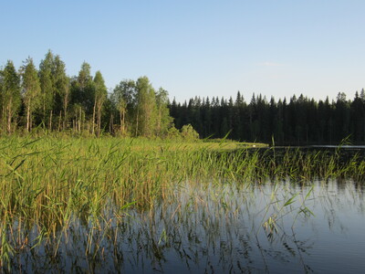 Берег озера