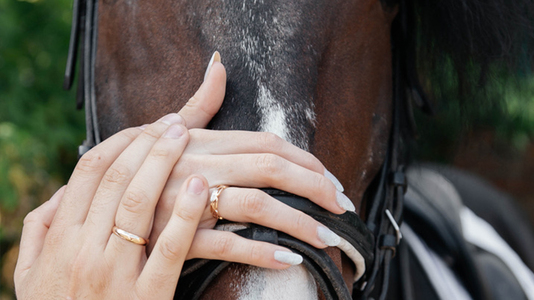 Владлена Маслюкова