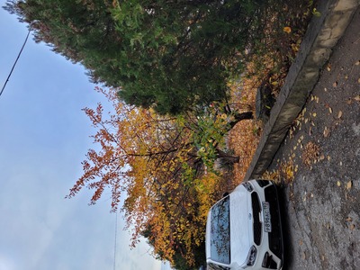 Осень в городе