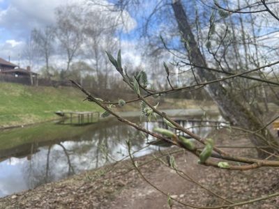 Просыпаемся