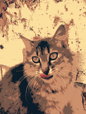 Кошка