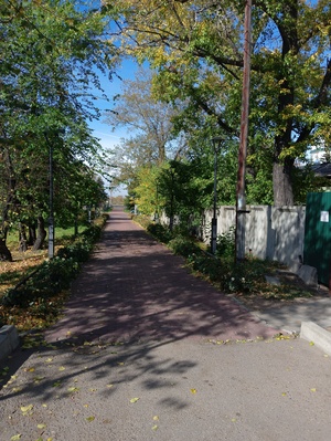 Улица