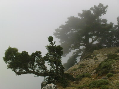 Туман в горах на крите