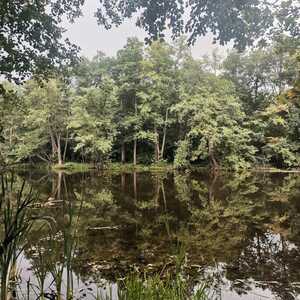 Озеро после дождя