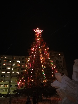 Елка