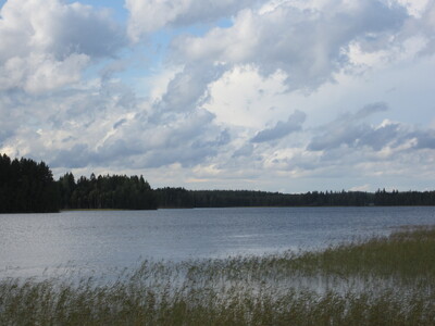 Пейзаж с озером