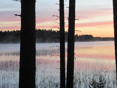 Вечерний пейзаж с озером