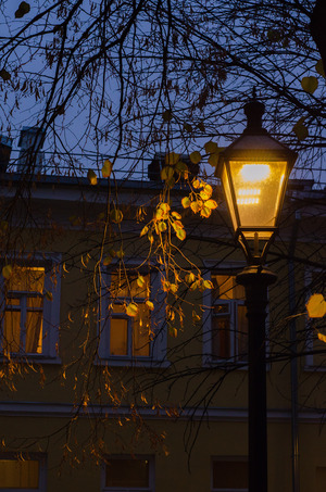 Ночью в москве