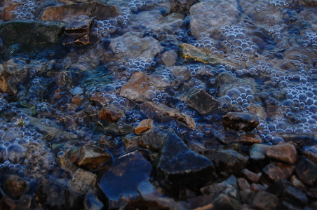 Пена на воде