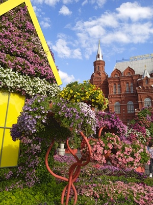 Цветы на стенах