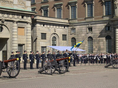 Виды стокгольма