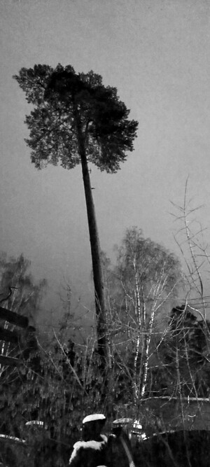 Беспокойство