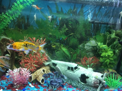 Подводный мир