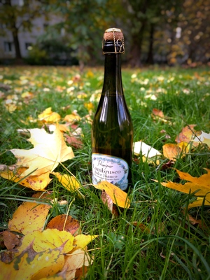 Игристое вино и настроение