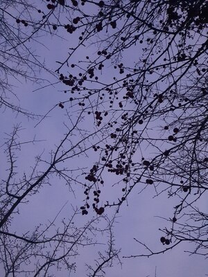 Небо