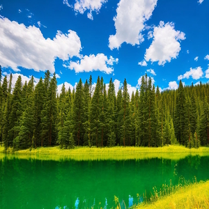 Пейзаж с озером