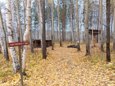 Лес
