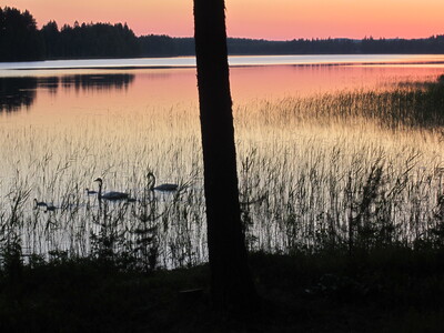 Вечер на озере