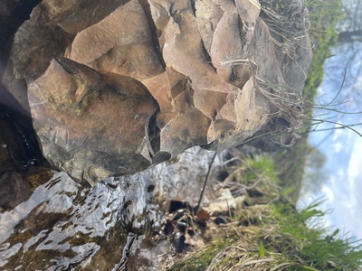 Весенний ручей с высоты муравьиного полета