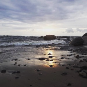 Финский залив