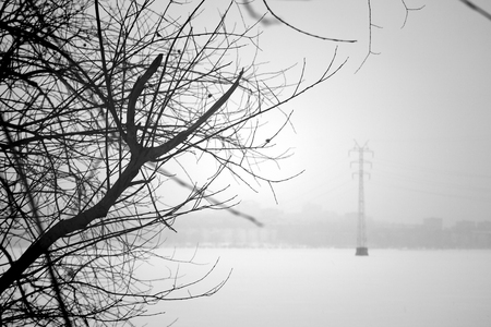 Noise of winter