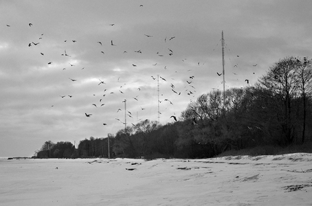 Зимний пейзаж с вороньем