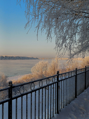 Зимняя нева
