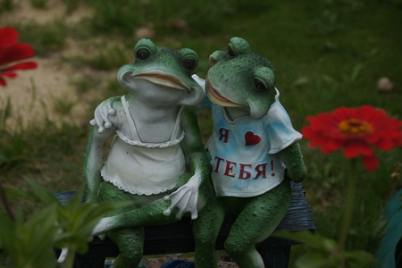 Лягушачая любовь