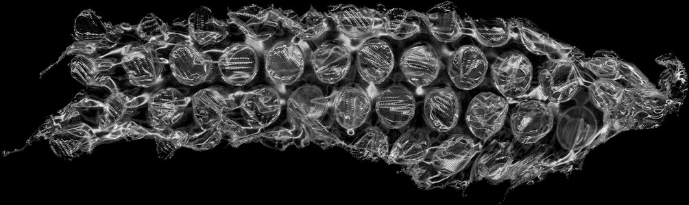 Пупырчатая пленка