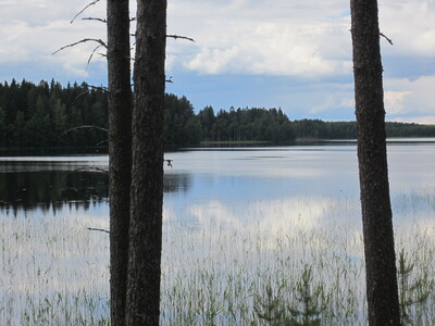 Пейзаж с озером