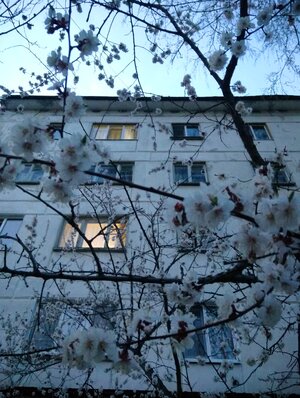 Весна