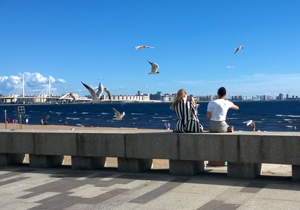На берегу финского залива в санкт-петербурге