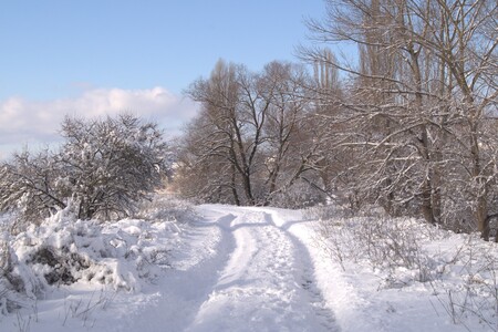 Снежная дорога