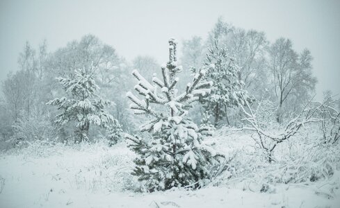 Зимний пейзаж