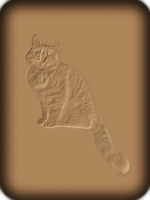 Котик