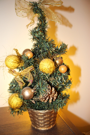 Маленькая ёлочка