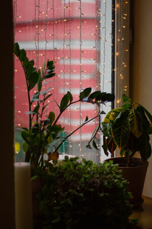 Окно и дождь