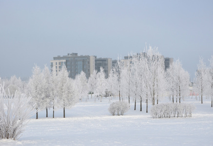 Городские дома в мороз