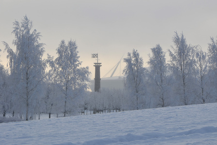 Зима в парке