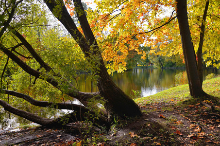 Осень в парке
