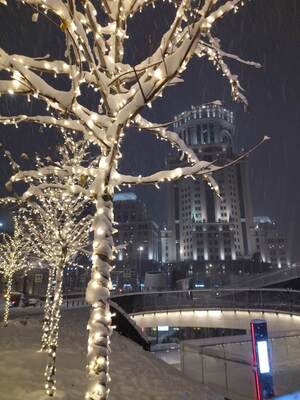 Свет и сияние зимы