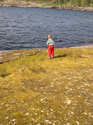 Лето в ладожских шхерах